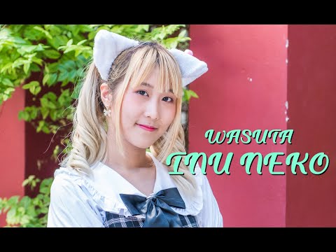 [4K] Punn dance cover WASUTA - Inu Neko Seishun Massakari - [Raccoon Sweet Project]