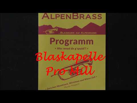 B 02 - ALPEN BRASS 2020 --- Blaskapelle ProMill ....