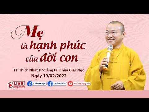 Mẹ là hạnh phúc của đời con 