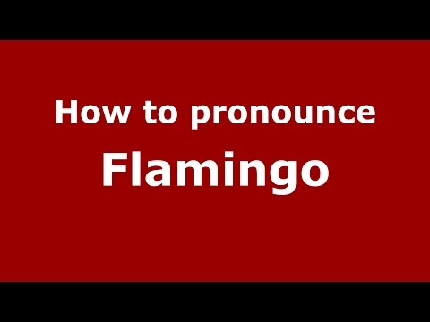 How to pronounce Flamingo (American English/US) - PronounceNames.com