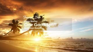 Ziggy Marley - One Good Spliff (Acidation Remix)