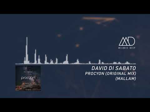 PREMIERE: David Di Sabato - Procyon (Pacco & Rudy B Remix) [Mallam]