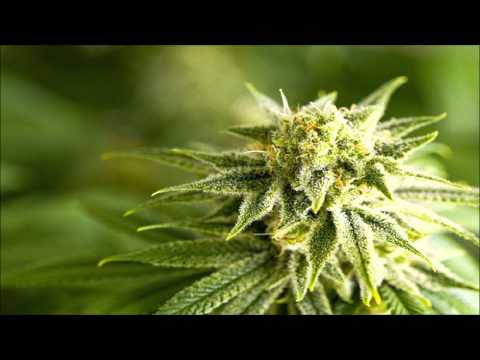 HappyJoeHermi’s Video 123721930372 om65fjKSVdI