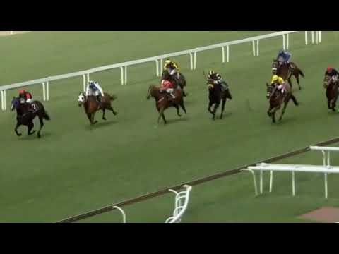 FOLLOW ME 2021 FILLIES MILE