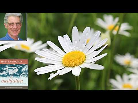 [PDE]  : Guided Healing Meditation by Dr. Brian L Weiss