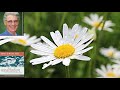 [PDE]  : Guided Healing Meditation by Dr. Brian L Weiss