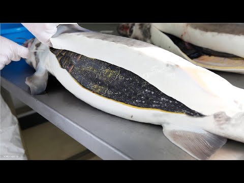 , title : 'How Sturgeon Caviar Is Farmed and Processed - How it made Caviar - Sturgeon Caviar Farm'