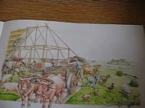 De Germanen: De Friezen en de Bataven