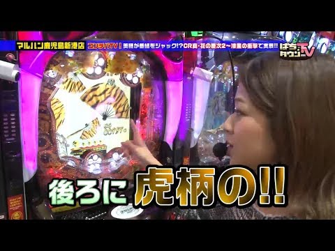 くるみん・果生梨が困惑!?　美穂のコンチパTV【ぱちタウンTV鹿児島版】女性3人によるいつもと違う雰囲気をお楽しみください!!【パチンコ】