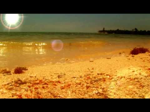 Yosan Gonzalez, Jus Deelax - Sunlife Feat.Celia Fox (Roberto Sansixto & Pedro Valenzuela remix).wmv