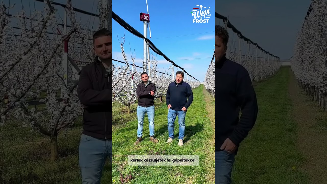 Hogyan készülj fel a tavaszi fagyokra? (Bakó Gyümölcs)