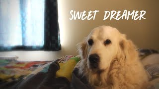 Sweet Dreamer - Will Joseph Cook (Matt Humphries)