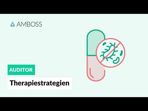 Therapy strategies -- Antibiotics Part 2 -- AMBOSS Auditor