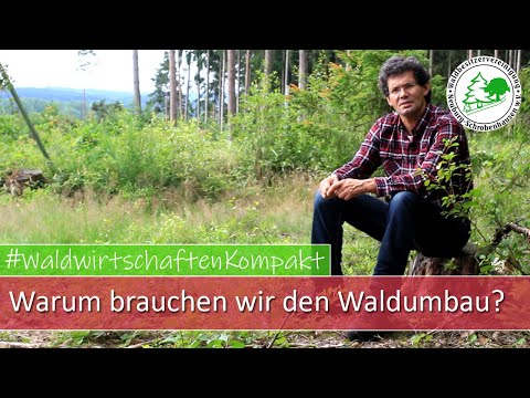 Waldwirtschaften Kompakt - Warum brauchen wir den Waldumbau?