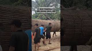 Download lagu INILAH PENAMPAKAN BUBU RAKSASA PENGHUNI SUNGAI TABIR #tabir #merangin #jambi mp3