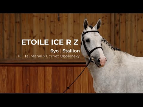 1. Etoile Ice R Z | Profile