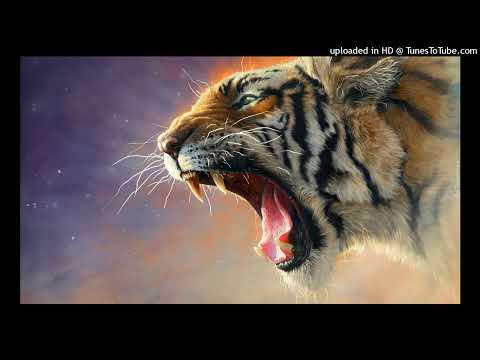 OLSEN & FU Feat SOBOTA & MADINES LE POLAK - JESTEM ODPORNY - SETO REMIX 2022