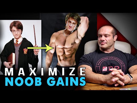Noob Gains Explained