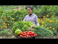 Harvest Coriander Onions Lettuce Papaya And Tomatoes To Sell At The Market