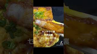 センテラス裏 世界征服 のとじないカツ丼