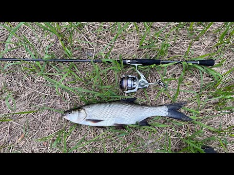 Жерех 22.04.2023