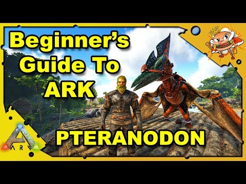 How to Get Started in ARK - A Beginners Guide - How To Tame A Flyer - Ark: Survival Evolved [S4E4]