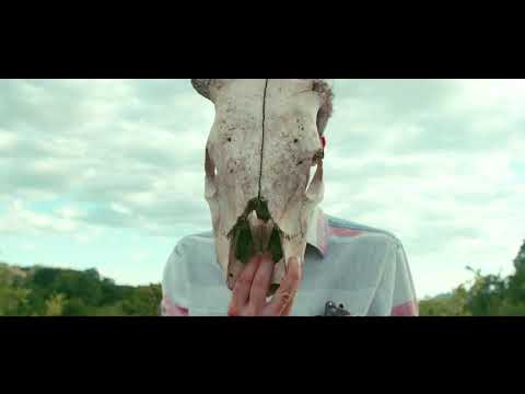 IMPALA RAY - IMPALA CRUSH // Official Music Video