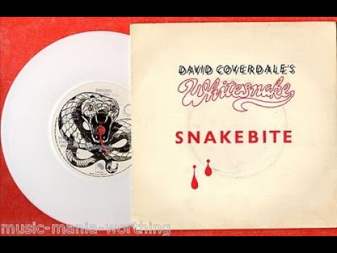 Thumbnail for David Coverdale's Whitesnake BREAKDOWN (Snakebite/Northwinds 1978 Albums)(Tony Newman Drum Improv) by Dave Dowle