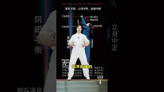 Eight Brocades Two Hands Hold Up the Heavens demonstration thumbnail