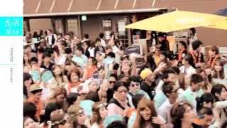 camelot FESTIVAL 2014