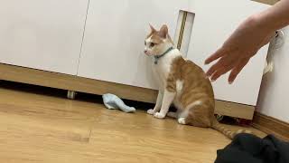 Dây mất dụi cùng chị Ny yêu thương, chị Ny lỳ lợm gan dạ mạnh mẽ của mi đó Zui