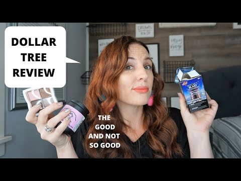 DOLLAR TREE REVIEW| WHAT WORKED AND DID NOT #36
