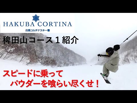 Video: 【白馬コルチナスキー場】稗田山１コース紹介。最大斜度35度、スピードに乗ってパウダーを喰らい尽くせ！