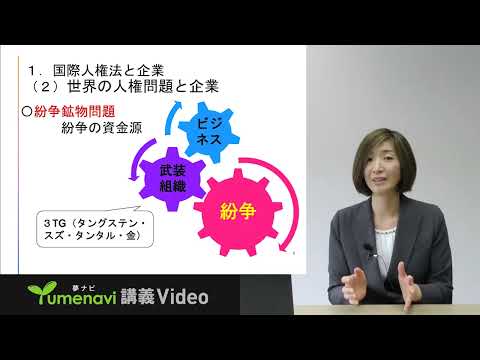 【Web体験授業・夢ナビ】国際学部「国際人権法は企業活動を規律できるのか？」