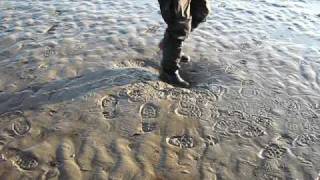 preview picture of video 'Walking on quicksand on Morecambe Bay'