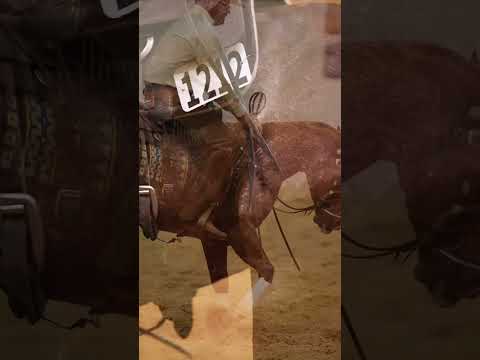 thanks for the support 🙌 #applythemethod