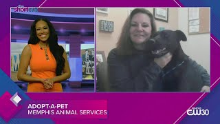 Ring in 2022 with a MAS pet!