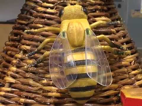 Sajam pčelarstva Vranje 2017