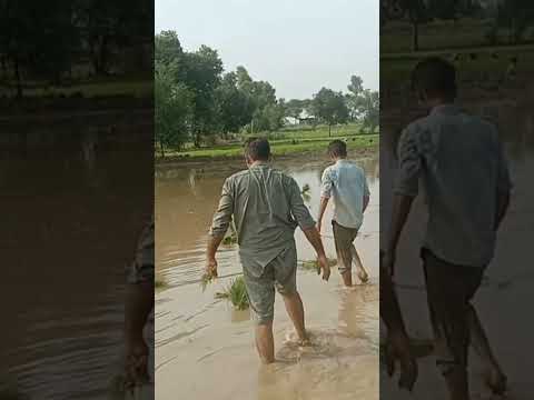 lao munjian lao munjian