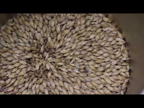 Comment faire sa bière soi-même à la maison ?