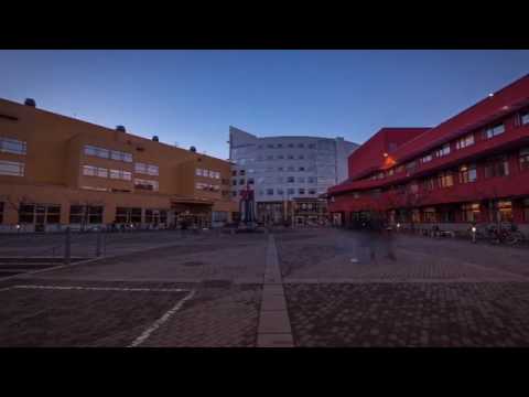 Jonkoping University, Sweden | Courses, Fees, Eligibility and More