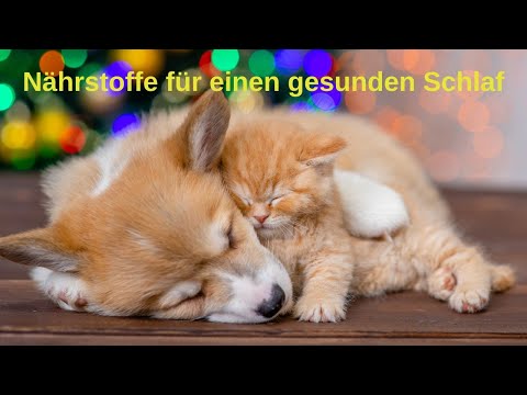 Nährstoffe für gesunden Schlaf - Wie bringen Magnesium, Melatonin/Serotonin und Omega-3 den Schlaf?