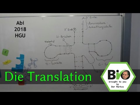 [Bio LK] - Die Translation erklärt - ABI 2018