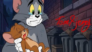 Download lagu Tom and Jerry 💔 mp3 Download lagu Tom and Jerry 💔 mp3