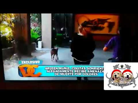 Susan Soltero corriendo a Dolores