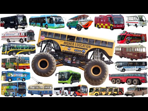 Monster School Bus, Police bus, Airport Bus, Ambulance bus, Trolley | Buses Types Collection Name