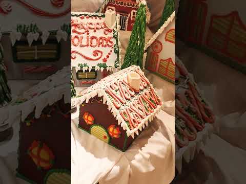 Thumbnail for Princess Cruise Ship Christmas December 2024 #cruiseship    #cruiselife #christmas