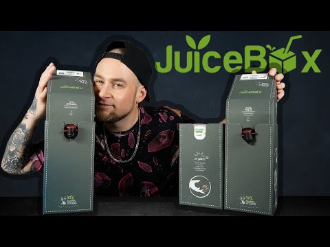 JUICE BOX im ULTIMATIVEN TEST | Wie schmecken die Konzentrate?