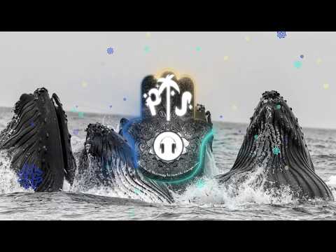 NHYX - WHALES