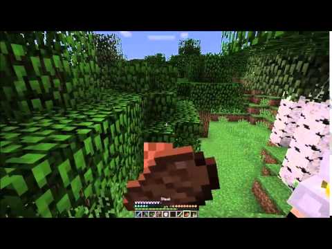 MC: TheCraftyCrew Lets Play 053